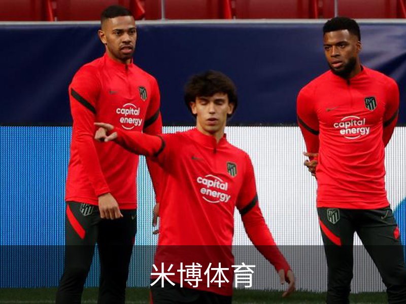 企业简介